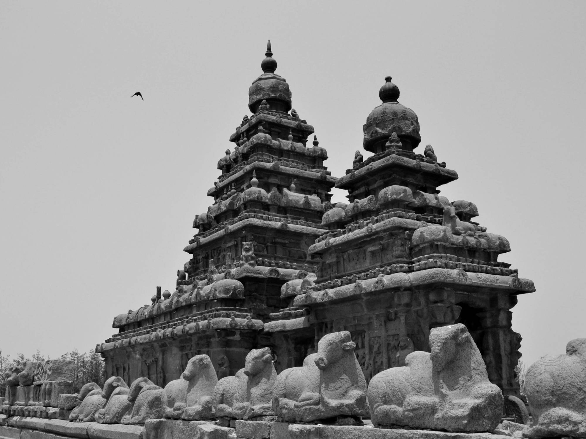 Sea Breeze Beach Resort Mahábalipuram Kültér fotó